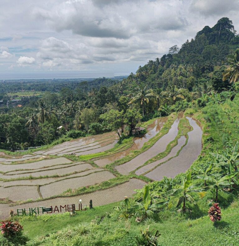 Bukit Jambul, Bali’s Hidden Gem with Breathtaking Views
