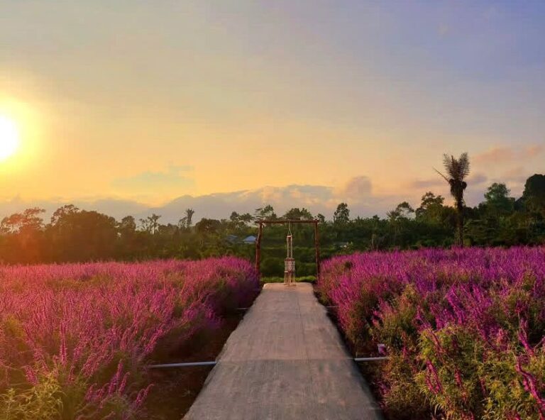 La Fresa Kintamani, A Flower Garden & Strawberry Picking Tour with Stunning Bali Scenery