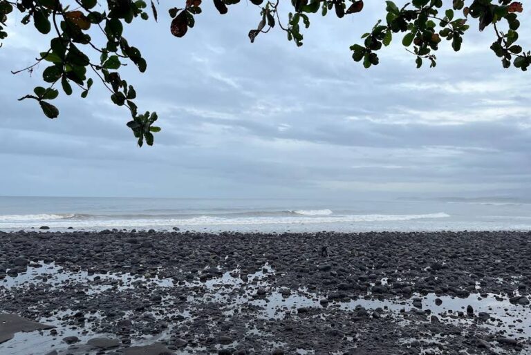 Medewi Beach, Surfing, Serenity, and Hidden Charm in West Bali