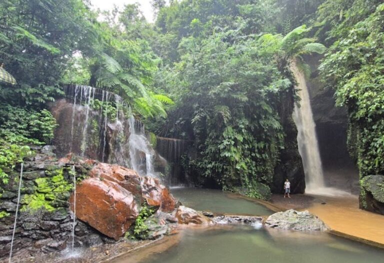 Goa Raja Waterfall, Bali’s Hidden Gem Worth Exploring