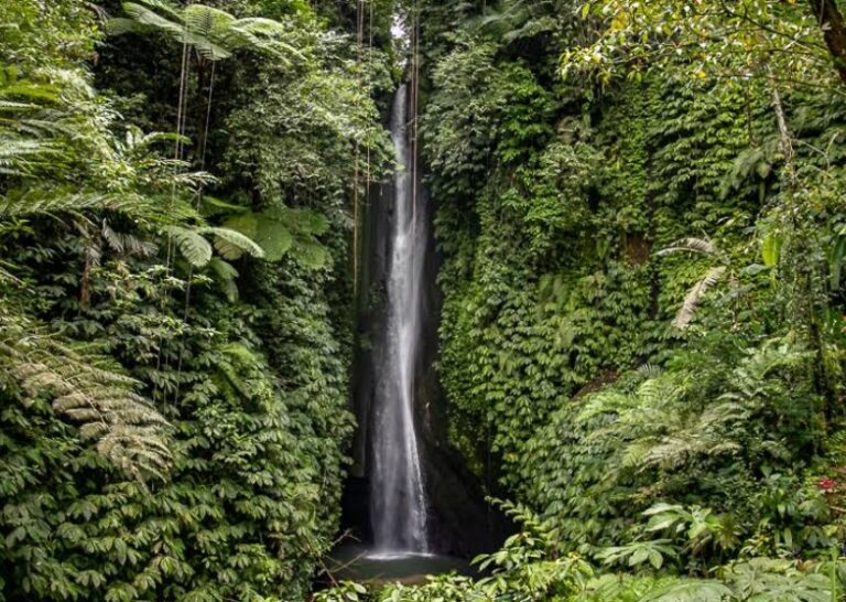 Leke Leke Waterfall, A Hidden Sanctuary in the Heart of Bali
