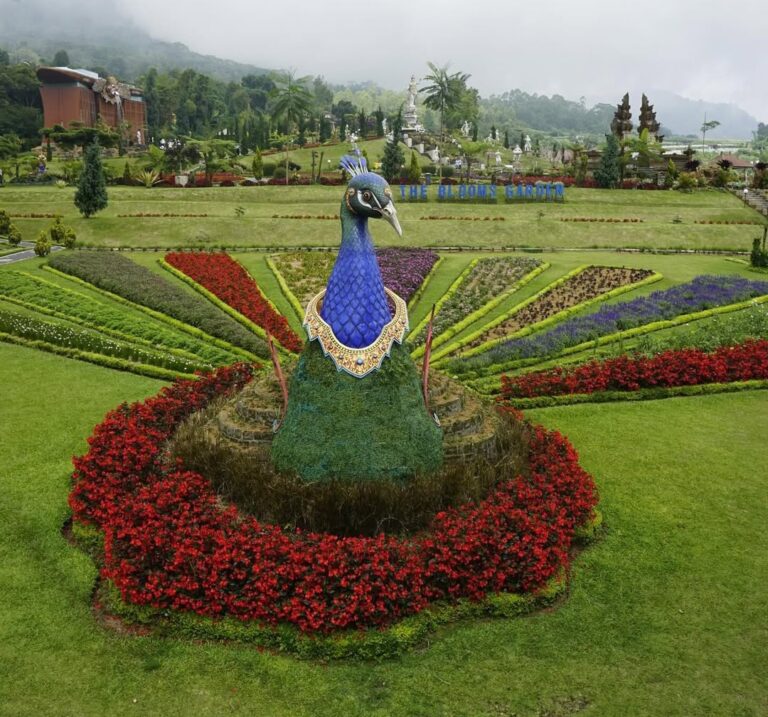 The Blooms Garden, A Scenic Flower Paradise in Bali’s Highlands