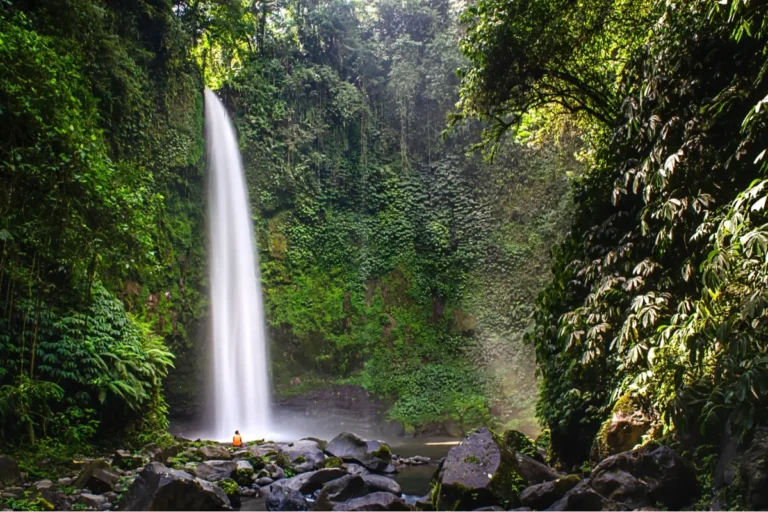 Nungnung Waterfall, A Hidden Gem in Bali’s Lush Wilderness