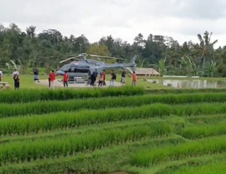 Jatiluwih Eco Farm, A Unique Agricultural Tourism Experience in Bali’s Iconic Rice Terraces, Now Accessible by Helicopter