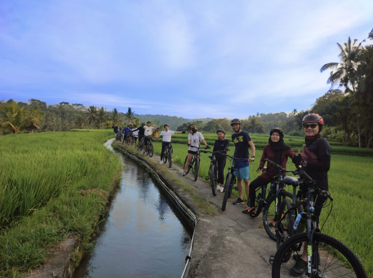 Cycling Through Ubud’s Rice Terraces, Your Ultimate Guide to a Downhill Adventure
