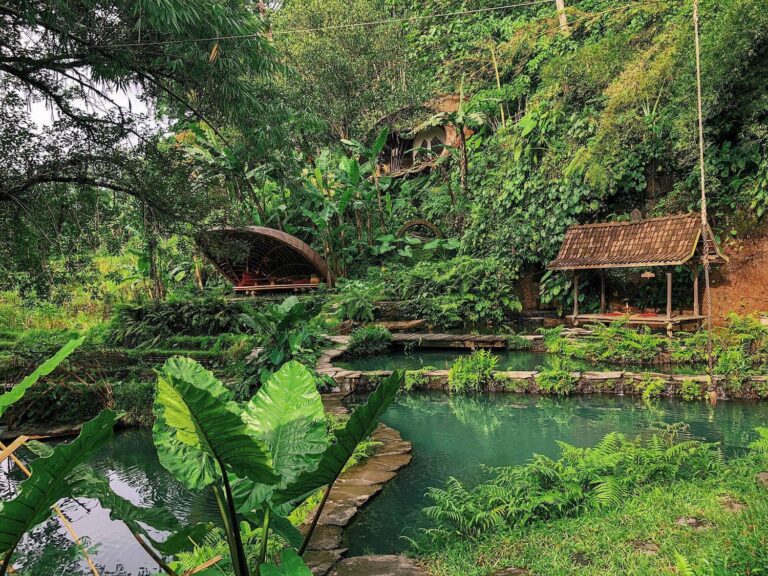 Nature Meets Comfort: 7 Eco-Friendly Hotels in Bali for a Guilt-Free Getaway